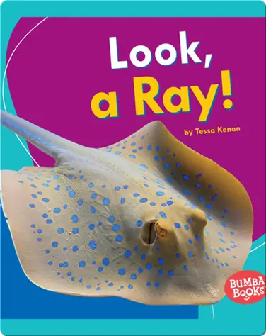 Look, a Ray! book