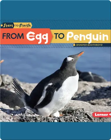 From Egg to Penguin book