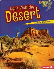 Let's Visit the Desert