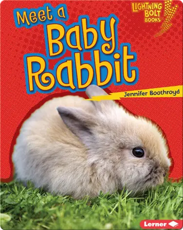Meet a Baby Rabbit book