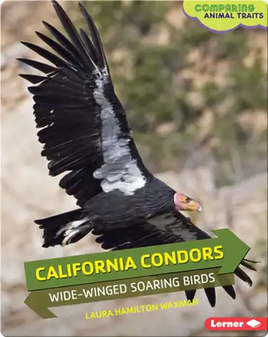 California Condors: Wide-Winged Soaring Birds book