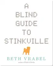 A Blind Guide to Stinkville