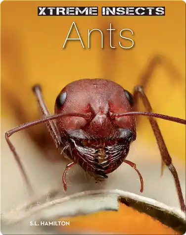 Ants book