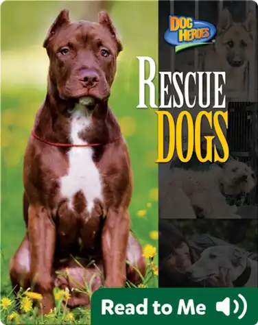 Rescue Dogs book