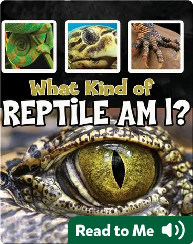 What Kind of Reptile Am I? book