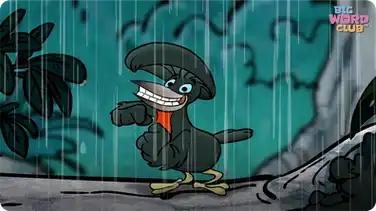 Umbrella Bird Song book