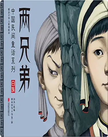 两兄弟 book