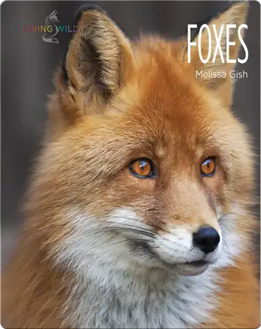 Foxes book