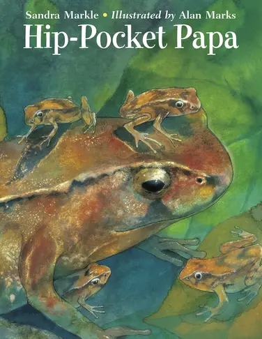 Hip-Pocket Papa book
