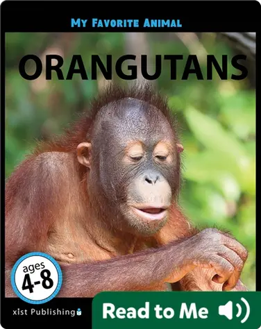 My Favorite Animal: Orangutans book