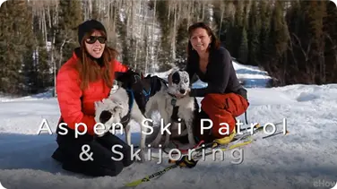 Aspen Ski Patrol and Skijoring | American Dog With Victoria Stilwell book