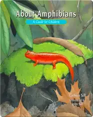 About Amphibians
