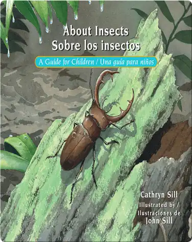 About Insects / Sobre los insectos book