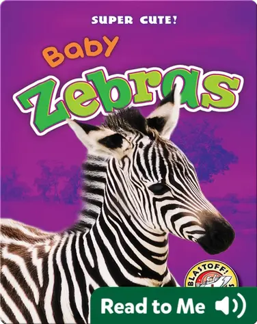 Super Cute! Baby Zebras book