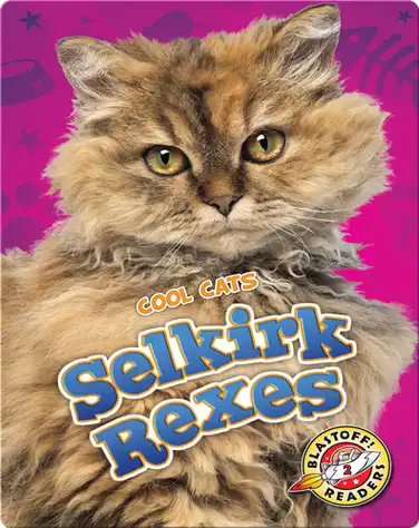 Cool Cats: Selkirk Rexes book