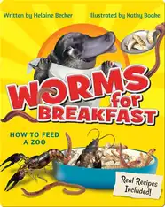 Worms for Breakfast: How to Feed a Zoo