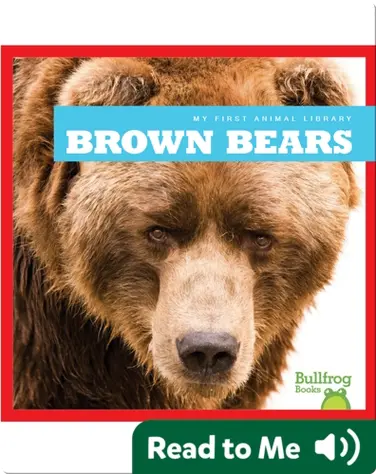 My First Animal Library: Brown Bears book