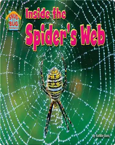 Inside the Spider’s Web book