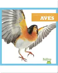 Clasificación Animal: Birds