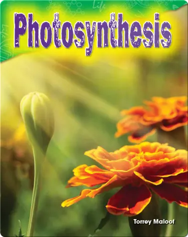 Photosynthesis book