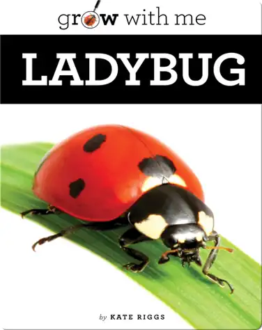 Ladybug book