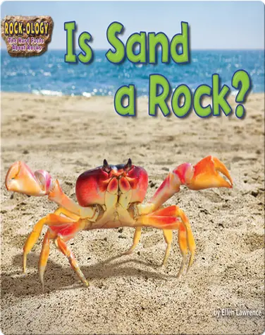Is Sand a Rock? book