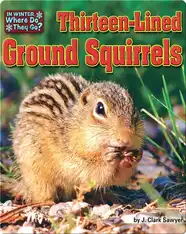 Thirteen-Lined Ground Squirrels