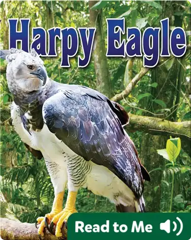 Harpy Eagle book