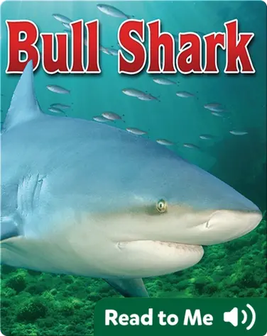 Bull Shark book