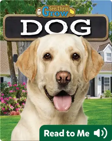 Dog book