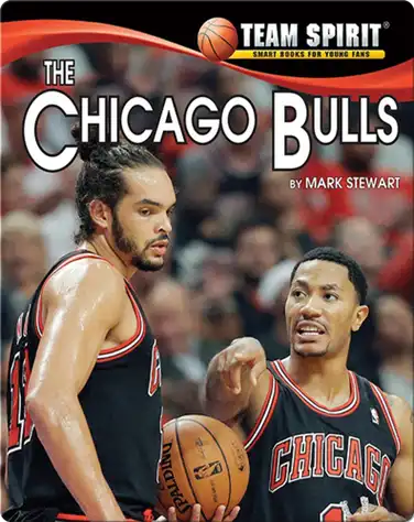 The Chicago Bulls book