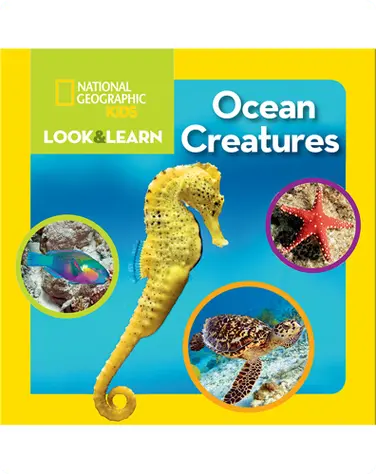 National Geographic Kids Look and Learn: Ocean Creatures book