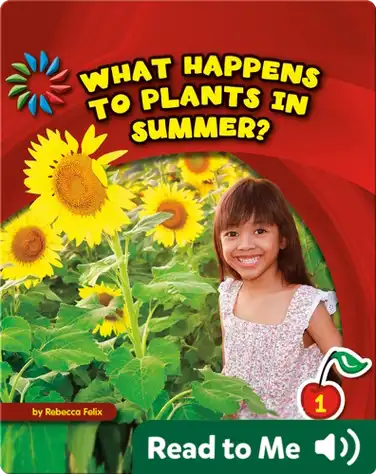 What Happens to Plants in Summer? book