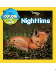 Explore My World Nighttime
