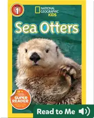 National Geographic Readers: Sea Otters