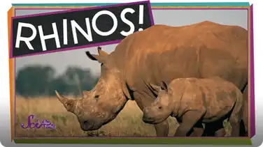 SciShow Kids: Save the Rhinos book