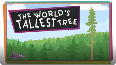 SciShow Kids: The World's Tallest Tree book