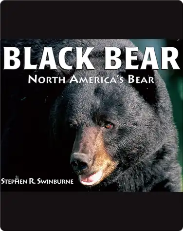 Black Bear: North America's Bear book