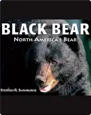 Black Bear: North America's Bear