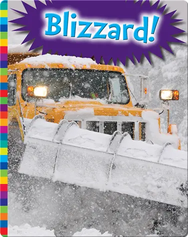 Blizzard! book
