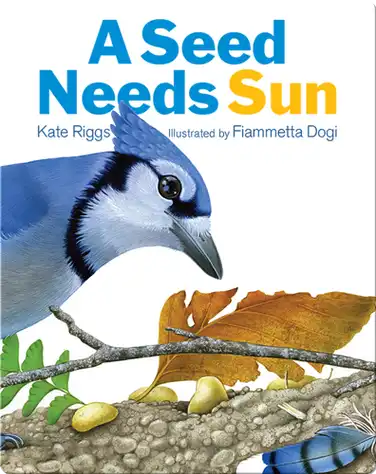 A Seed Needs Sun book