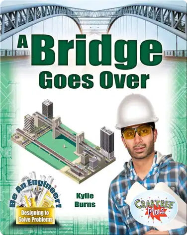 A Bridge Goes Over book