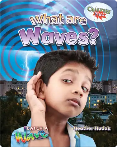 What Are Waves? book