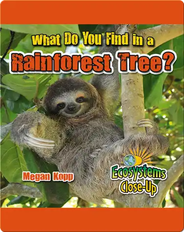 What Do You Find in a Rainforest Tree? book