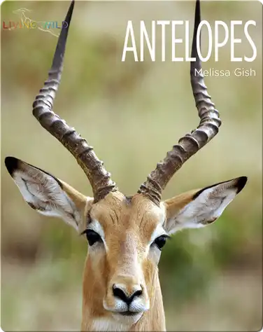 Antelopes book