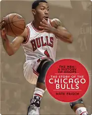 The Story of the Chicago Bulls