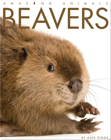 Beavers book