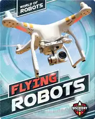 World of Robots: Flying Robots