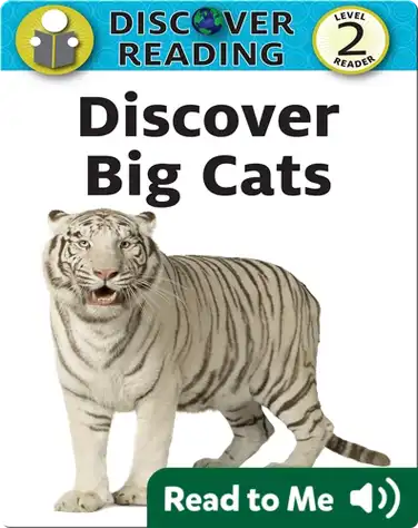 Discover Big Cats book