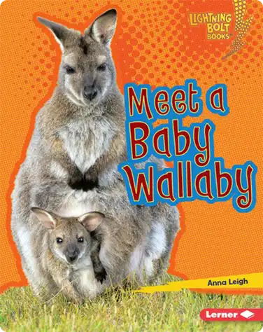 Meet a Baby Wallaby book